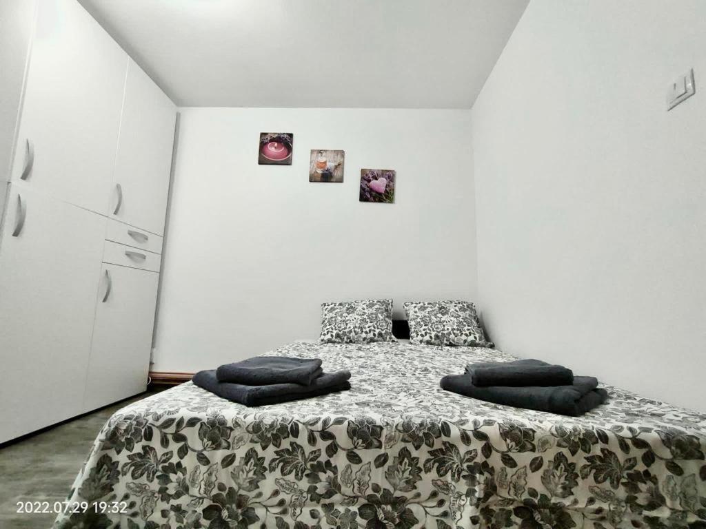 Lavanda Studio Brasov Luaran gambar