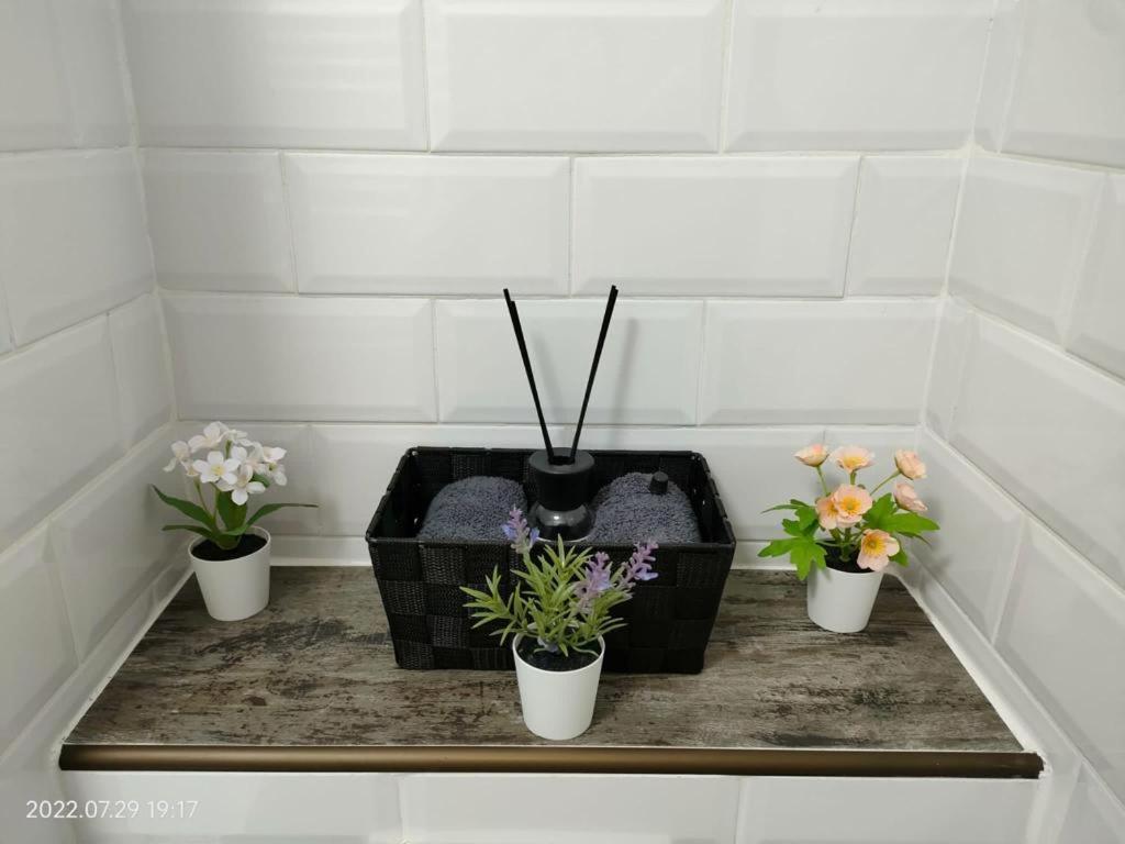 Lavanda Studio Brasov Luaran gambar