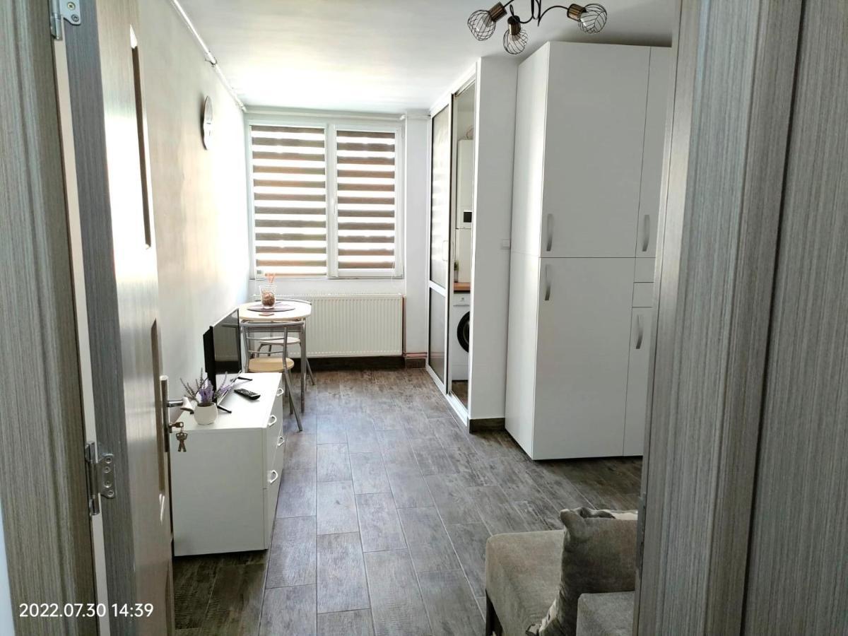 Lavanda Studio Brasov Luaran gambar